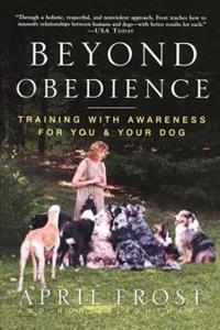 Beyond Obedience: Training with Awareness for You & Your Dog