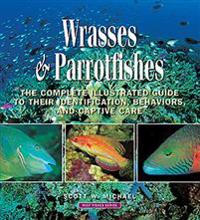 Wrasses and Parrotfishes