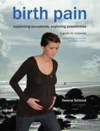 Birth Pain: Explaining Sensations, Exploring Possibilities