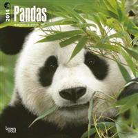 Pandas 2014 Wall Calendar