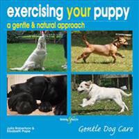 Exercising Your Puppy