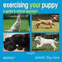 Exercising Your Puppy