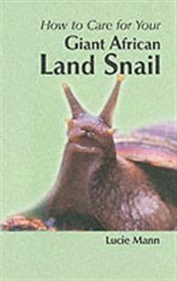 How to Care for Your Giant African Land Snail