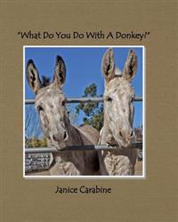 What Do You Do with a Donkey?