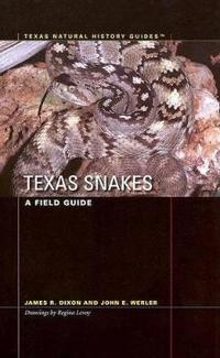 Texas Snakes