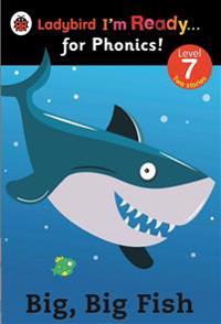 Big, Big Fish: Ladybird I'm Ready for Phonics Level 7