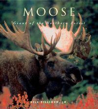 Moose: Giants of the Northern Forest