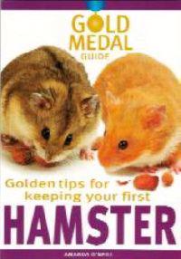 Golden Tips for Keeping Your First Hamster
