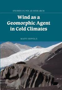 Wind As a Geomorphic Agent in Cold Climates