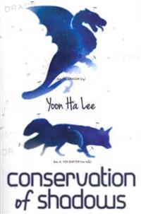 Conservation of Shadows