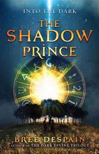 Into the Dark: The Shadow Prince