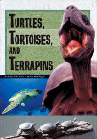 Turtles, Tortoises and Terrapins