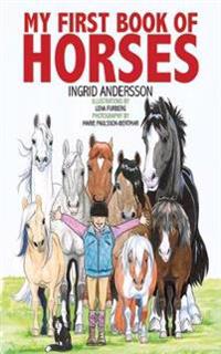 My First Book of Horses