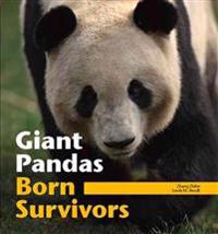 Giant Pandas: Born Survivors
