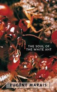 The Soul of the White Ant