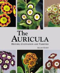 The Auricula