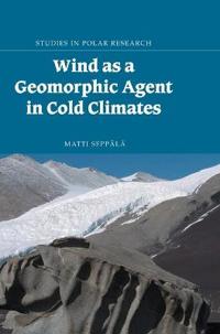 Wind as a Geomorphic Agent in Cold Climates