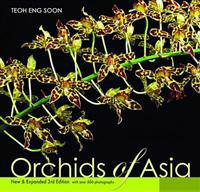 Orchids of Asia