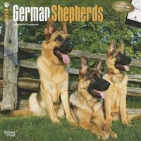 German Shepherds 2014 Wall Calendar