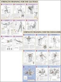 Strength Training Anatomy Charts