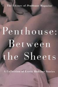 Between the Sheets: A Collection of Erotic Bedtime Stories