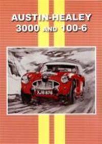Austin Healey 3000 and 100 - 6