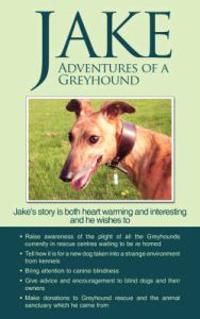 Jake Adventures of a Greyhound
