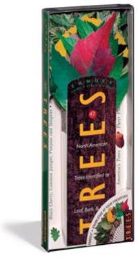 Fandex Family Field Guides: Trees