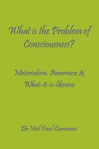 What is the Problem of Consciousness?