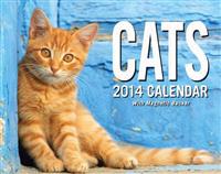 Cats 2014 Mini Box Calendar