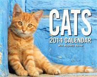Cats 2014 Mini Box Calendar