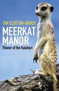 Meerkat Manor