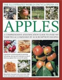 The Illustrated World Encyclopedia of Apples