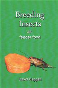 Breeding Insects as Feeder Food