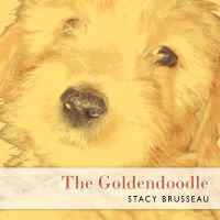 The Goldendoodle