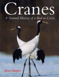 Cranes