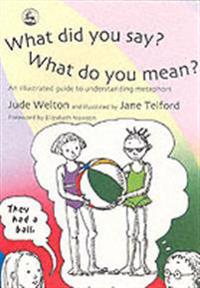 What Did You Say?  What Do You Mean?