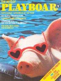 Theatre Studies: The Basics