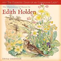 Illustrations of Nature