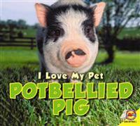 Potbellied Pig