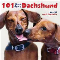 101 Uses for a Dachshund