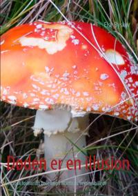 D Den Er En Illusion