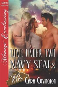 Love Under Two Navy Seals