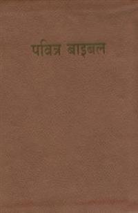 Hindi Bible-FL-Easy-To-Read