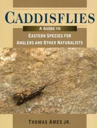 Caddisflies