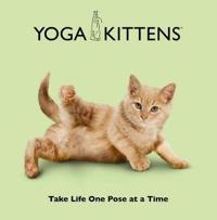 Yoga Kittens