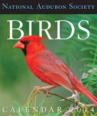 Audubon Birds Gallery 2014