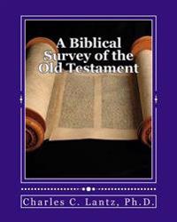 A Biblical Survey of the Old Testament: A Brief and Concise Guide to Understanding the Old Testament