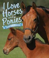 I Love: Horses and Ponies