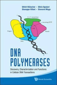 DNA Polymerases